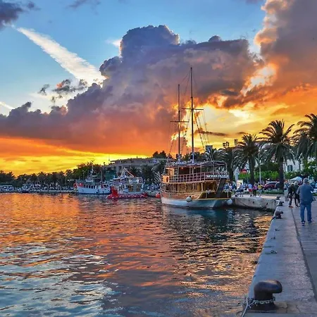 דירה Center Nest